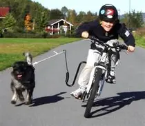 Springer fietsbeugel voor de hond - afbeelding 6