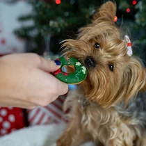 The barking bakery christmas yappy woofmas Domuttz - afbeelding 2