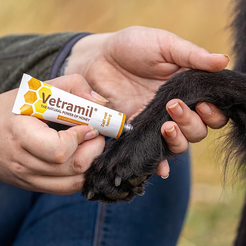Vetramil tube wondzalf met honing 10 gram - afbeelding 3