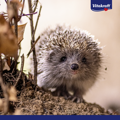 Vitakraft premium menu voor egels menu 600 gram - afbeelding 5