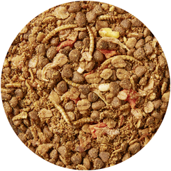Vitakraft premium menu voor egels menu 600 gram - afbeelding 6