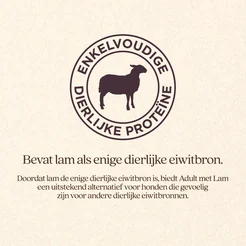 Vitalstyle Ecostyle blik adult lam 400gr. Hondenvoer - afbeelding 3
