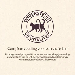 Vitalstyle Ecostyle cat adult kip 10kg kattenvoer - afbeelding 3