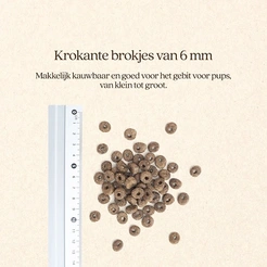 Vitalstyle Ecostyle dog pup + junior 10 kg Hondenvoer - afbeelding 4