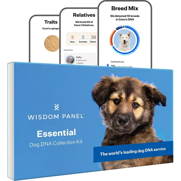 Wisdom panel essential dna test voor honden - afbeelding 1