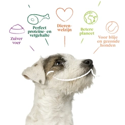 Yarrah hond biologisch alu pate rund 150 gr - afbeelding 3