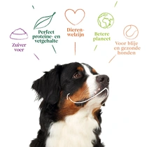 Yarrah hond biologisch biscuits vegetarisch 500 gram - afbeelding 3