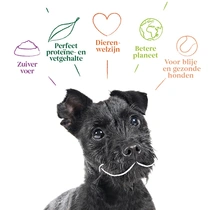 Yarrah hond biologisch multi small dog biscuits vegetarisch 250 gr - afbeelding 4