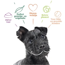 Yarrah hond biologisch vegetarisch hondenvoer 10 kg - afbeelding 3